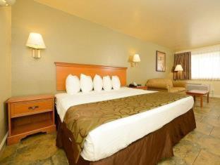 קורפוס כריסטי Best Western Padre Island חדר תמונה